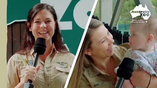 Woohoo! It's almost Steve Irwin Day | Australia Zoo Life