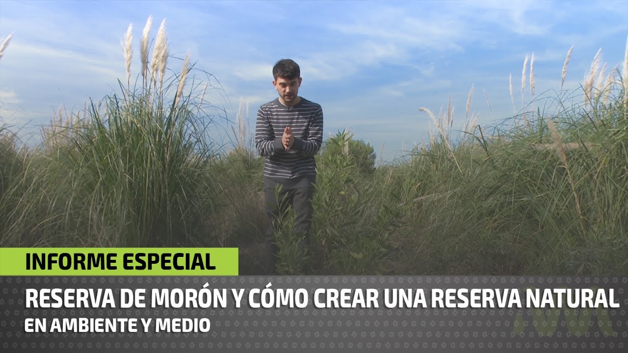 Reserva Natural Morón y cómo crear una reserva natual