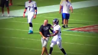 NFL Fan Interference (HD) Part 2