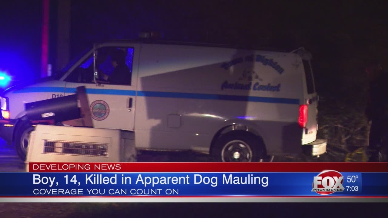 Boy, 14, killed in apparent dog mauling - YouTube