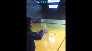 Flapping Flyer