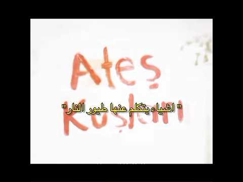 اشياء يتكلم عنها طيور النار فكرتي ممنوع السرقة طيور النار Ateş Kuşları