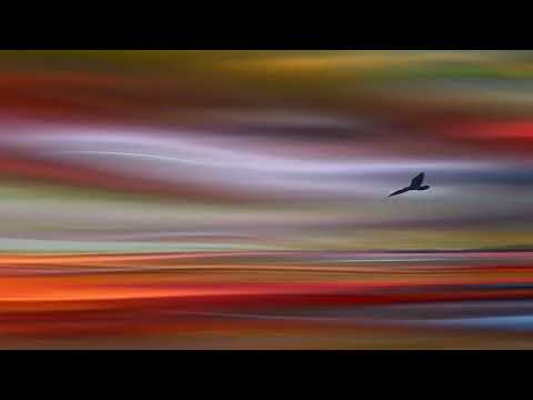 Ezechiel Pailhès - Eternel été