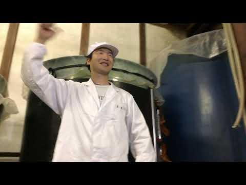 大澤酒造　紹介動画（恋チュンver.）