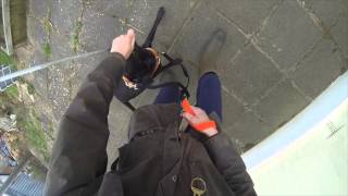 Starting Out with Heelwork