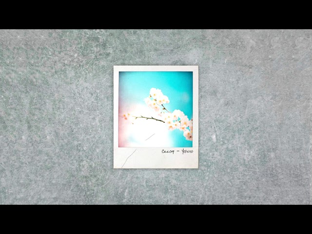 Guarda Ottom - Yoisho su YouTube Guarda Ottom - Yoisho su YouTube