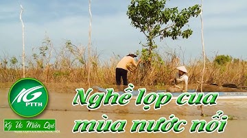 Ký ức miền quê l Nghề lọp cua mùa nước nổi l THKG