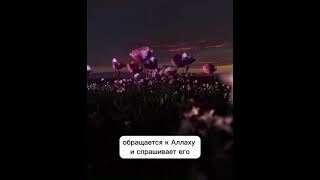 Скрывает ли Аллах1 1азза ва Жалла наши грехи ???👂💖☝️