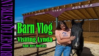 Barn Vlog Visiting Lynda's New Barn and Her Horses