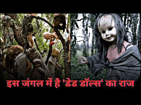 the dead doll forest | अनोखा जंगल जहां है गुड़ियों का राज
