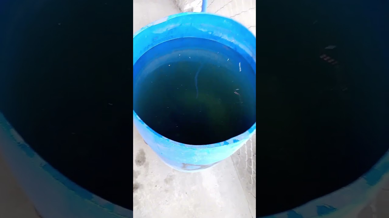 Destrucción de batería DB1560 50500