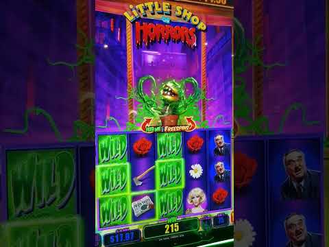 🎰 LIVE Slots at Casino Rama in Toronto 🇨🇦