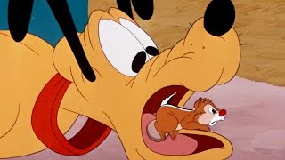 Download Lagu Food For Feudin' | A Classic Mickey Cartoon | Have A Laugh! | @disneykids MP3 Download Lagu Food For Feudin' | A Classic Mickey Cartoon | Have A Laugh! | @disneykids MP3