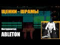 Щенки - шрамы | Ableton instrumental (cover)