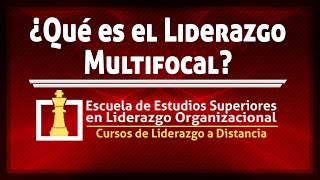 Teoría para un liderazgo efectivo: el liderazgo multifocal :: Liderazgo.Uno