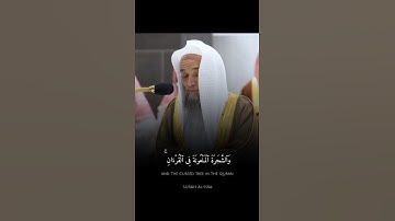 فضيلة الشيخ أ.د. فيصل غزاوي || وما منعنا أن نرسل بالآيات إلا أن كذب بها الأولون