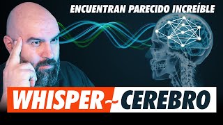 Descubren grandes similitudes entre la IA y el Cerebro