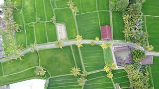Oka - FREE FOOTAGES PART 3 DRONES BALI, INDONESIA