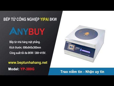 Bếp điện từ công nghiệp 8KW của YIPAI mã sản phẩm YP-380G