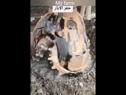 فيديو: ما هي مكافآت 