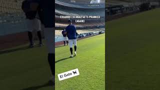 that man will never know peace. 🎥: David Peralta #shorts