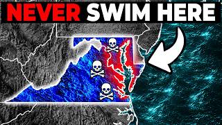 Chesapeake Bay Is Hiding Something Nobody Talks About