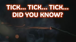 Dynamite 101: The Explosive History, Creation Process, and Uses |Unveiling the Manufacturing Process