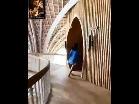 مالي طب وانا مالي