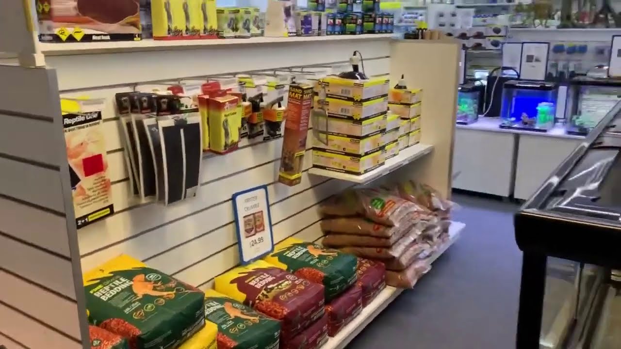 Reptile Pet Shop Melbourne All Types of Reptiles for Sale YouTube