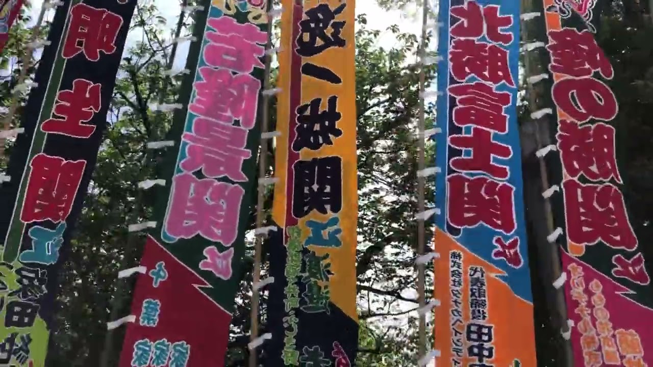 大相撲 のぼり旗 貴乃花 www.expressinter.com