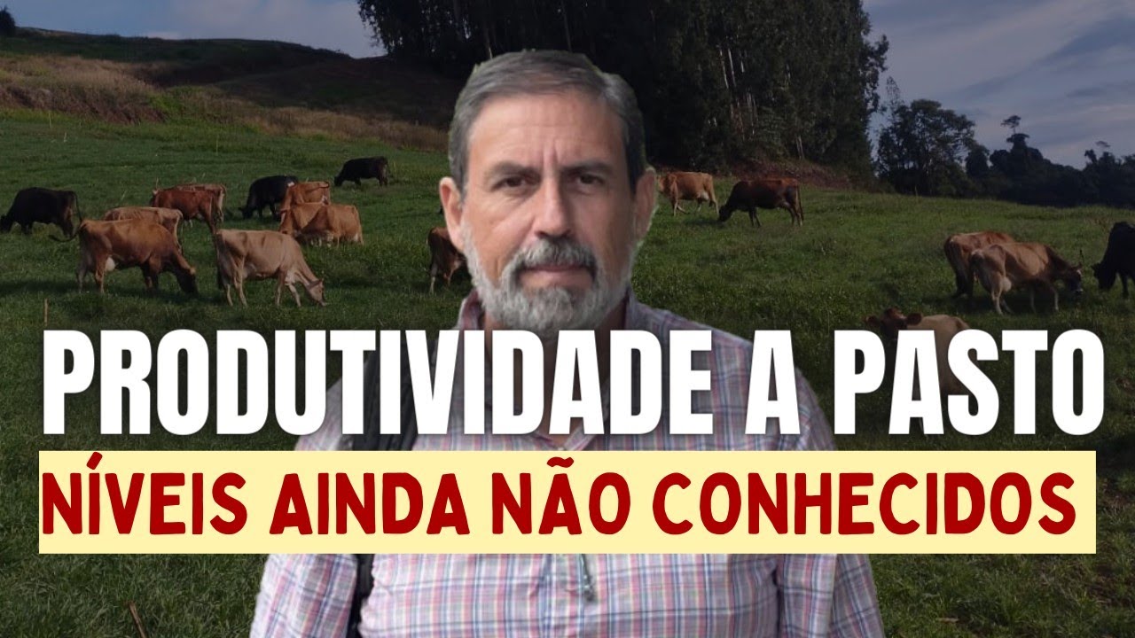 Ciência Descobre Como Produzir MAIS LEITE a PASTO