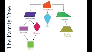 Properties of Quadrilateral