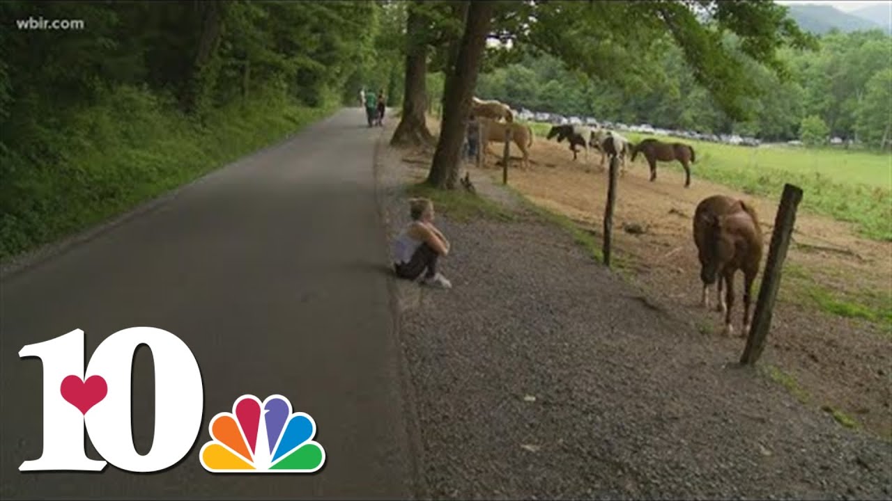 Visitors enjoy vehiclefree Wednesdays at Cades Cove YouTube