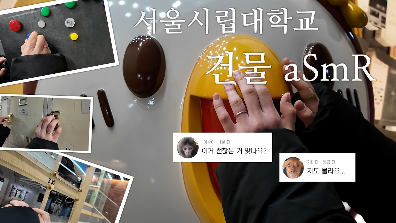 [JBS 프로젝트] 한밤중에 몰래 학교에서 ASMR 하기 | 서울시립대학교 건물 ASMR