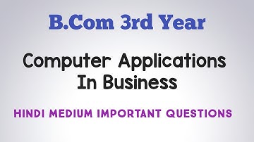 Computer Application In Business Important Questions In Hindi