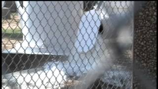 Celebrity Hidalgo County voters decide on Drainage system Net Worth