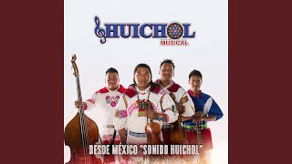 Video thumbnail of "Huichol Musical - La Cusinela"