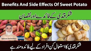 | Benefits And Side Effects Of Sweet Potato | Shakar Qandi ke Fayde Aur Nuqsaan