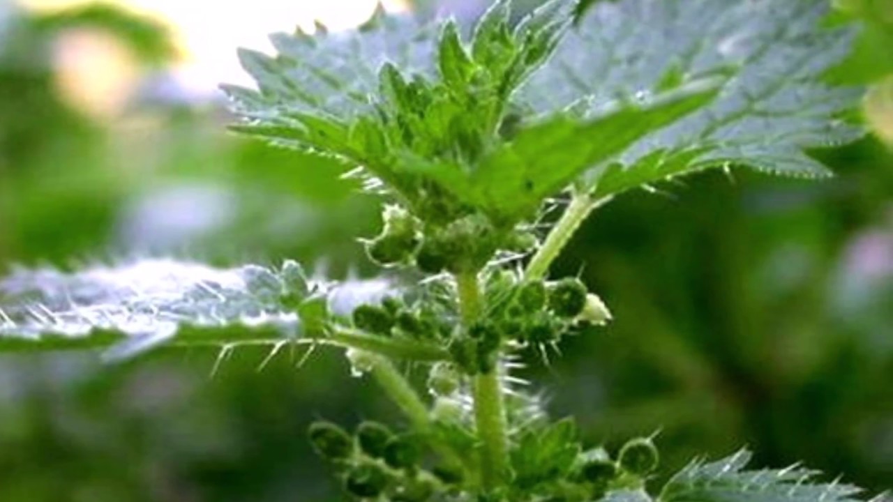 Вот уж вечер... - YouTube