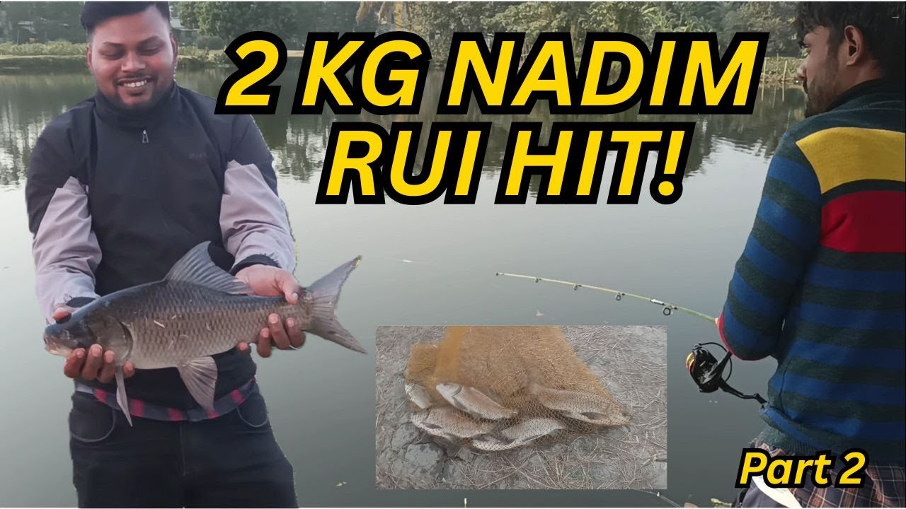 Part 2 2.5 KG+ Rui Fish Strike at Ramu das Pond Huge Run, Screaming Reel & Epic Fight Bengal Fishing