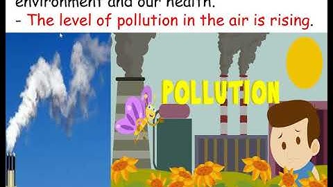 Primary 2 Connect plus revision  based on unit 9.