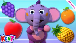 Tebak Buahnya | Pelajari Buah | Teka Teki Untuk Anak Anak | Belajar Bersama Kent Si Gajah screenshot 3