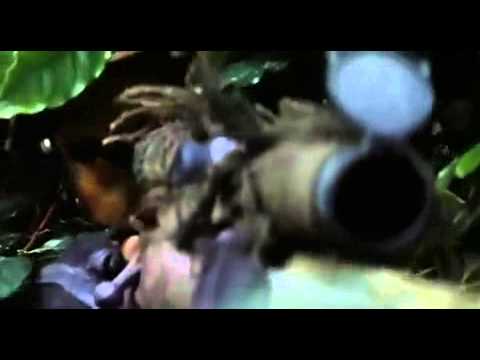 \"პირდაპირი მუქარა\"