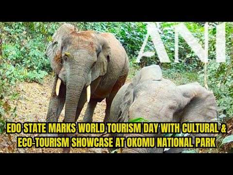 Edo State Marks World Tourism Day With Cultural Eco Tourism Showcase At Okomu National Park