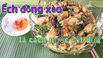 Ếch đồng xào lá cách nước cốt dừa | món ngon đậm chất miền Tây| @Chintraon85| vd119