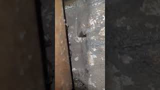 Metallurgy defect- porosity