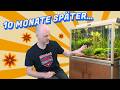10 Monate später: Warum Oldschool Aquaristik weniger frustet | Juwel Retro Aquarium Update