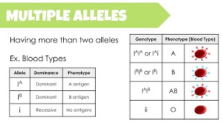 Beyond Dominant and Recessive: Unveiling Complex Inheritance