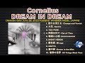 Cornelius – DREAM IN DREAM [2023] (snippet of songs)