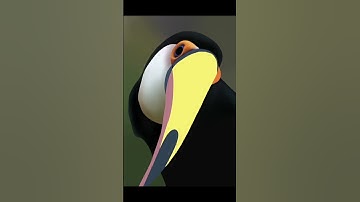 DIGITAL DRAWING TOUCAN BIRD | TIMELAPSE